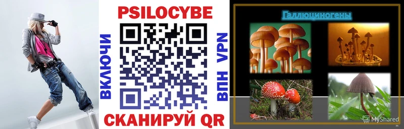 Псилоцибиновые грибы Psilocybe  mega ССЫЛКА  даркнет клад  Жигулёвск 